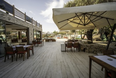 Breakfast & Brunch, Restaurant